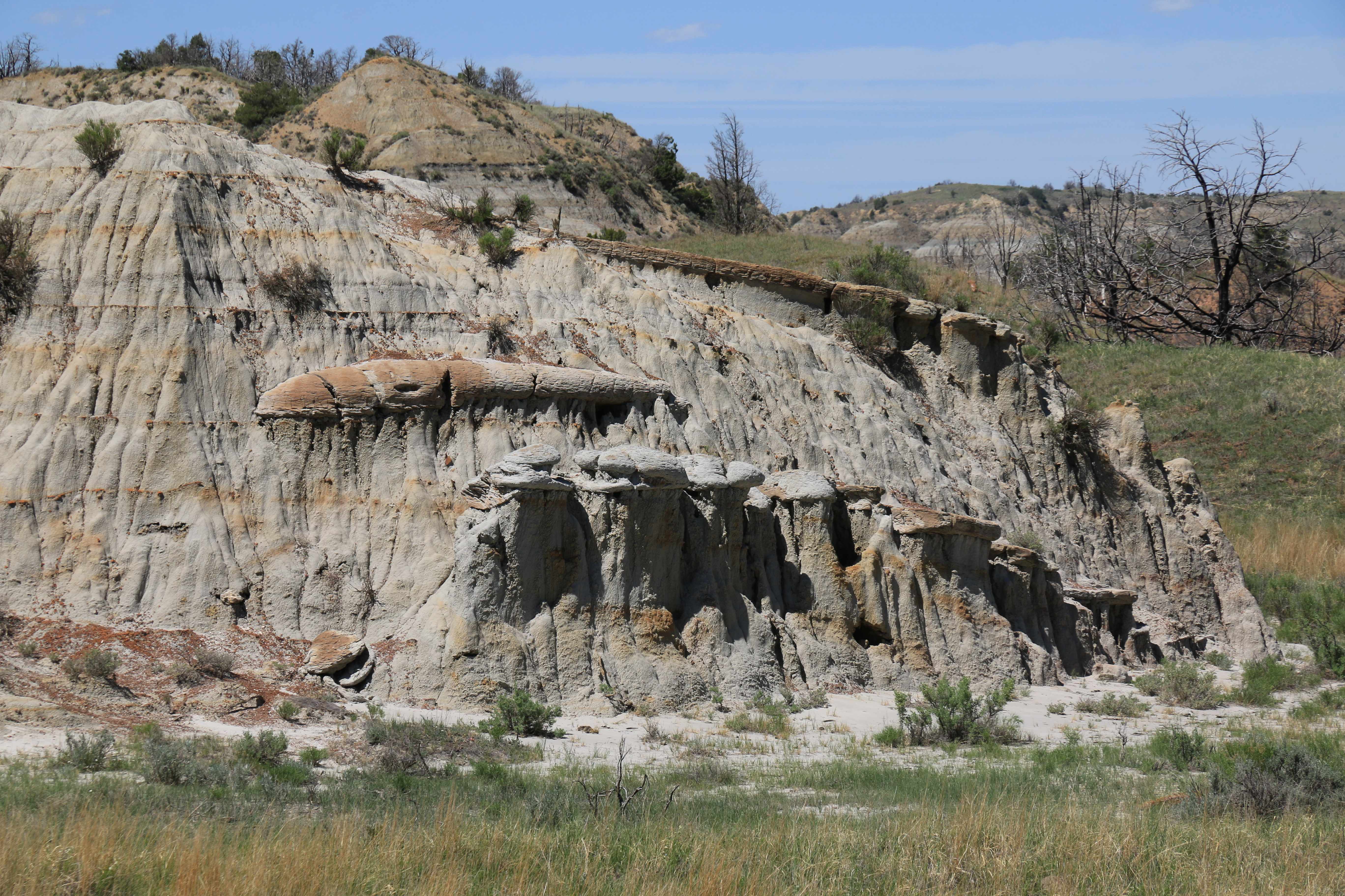 Theodore Roosevelt NP